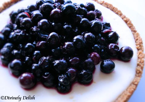 blueberry cheesecake3_copyrighted
