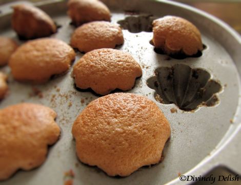 IMG_1307_copyrighted